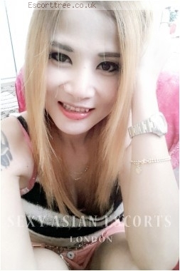 Thai 34C bust size escort girl